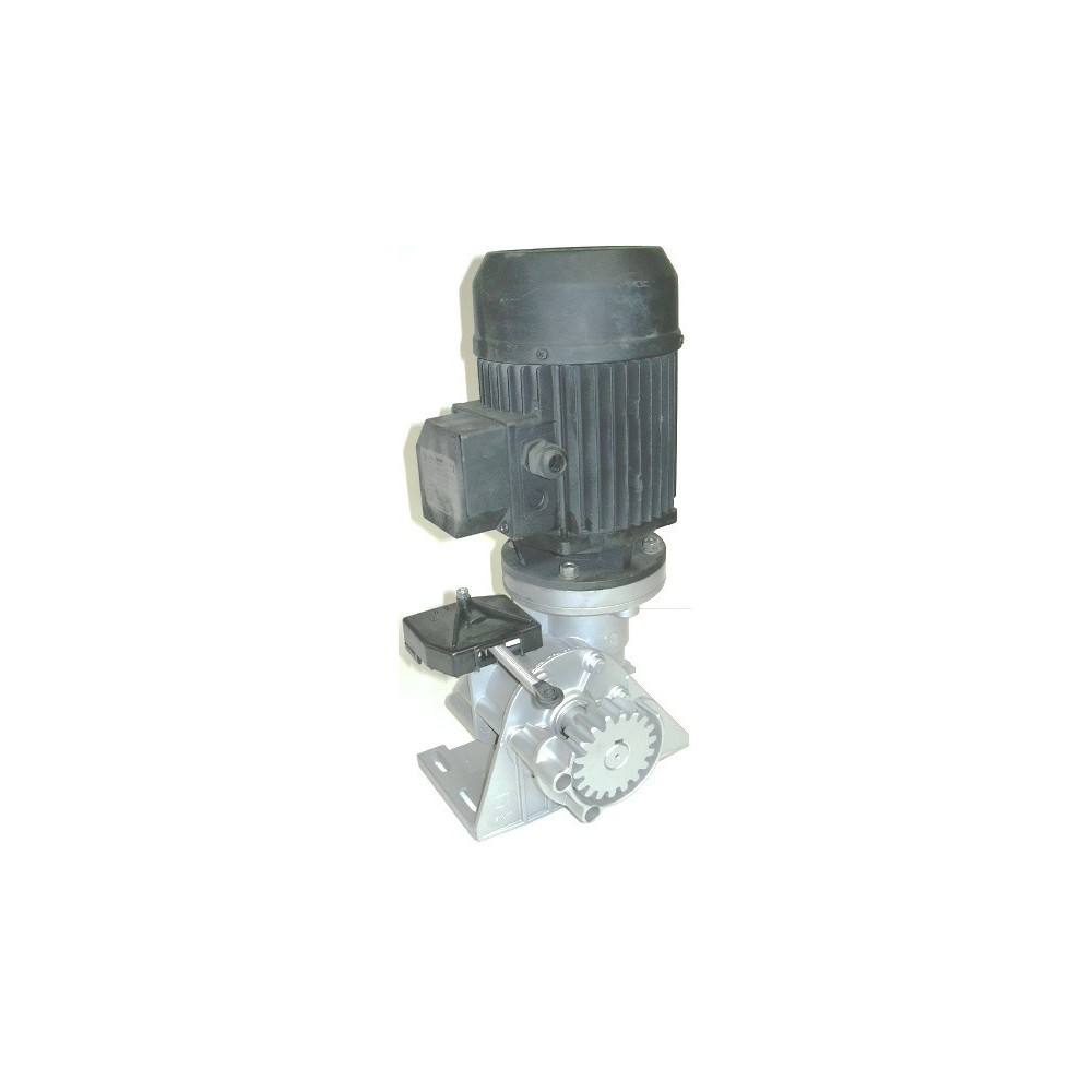 Moteur De Portail Coulissant Mec 200 1Hp 230/400Vac 50Hz 3Ph V. A/Frein Él. FADINI 21267L Moteur De Portail Coulissant Mec 200 1Hp 230/400Vac 50Hz 3Ph V. A/Frein Él. FADINI 21267L